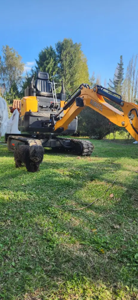 Instalación de tuberías en zanja recién excavada